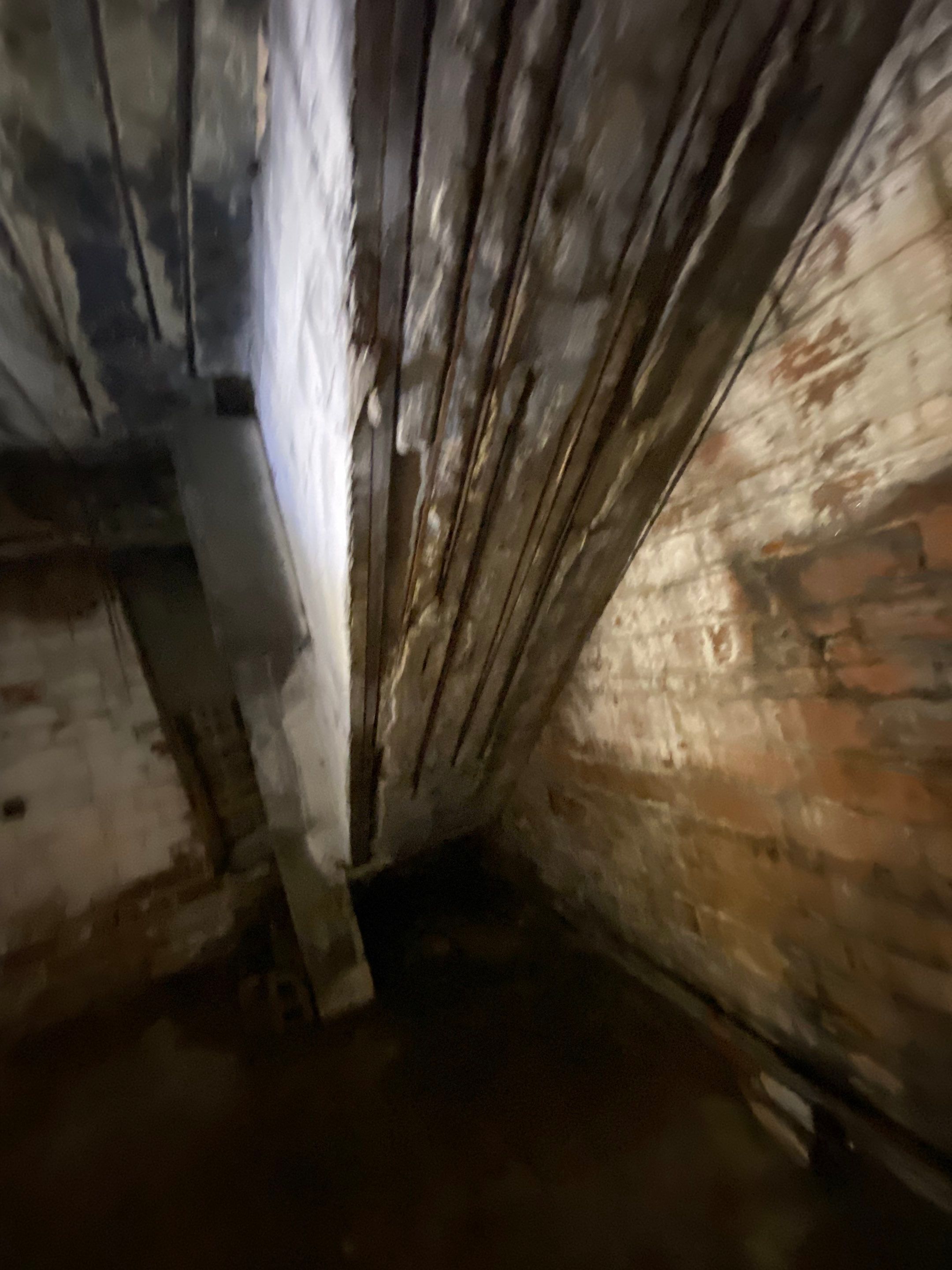 Early warning signs of mold growth on a Midwest home