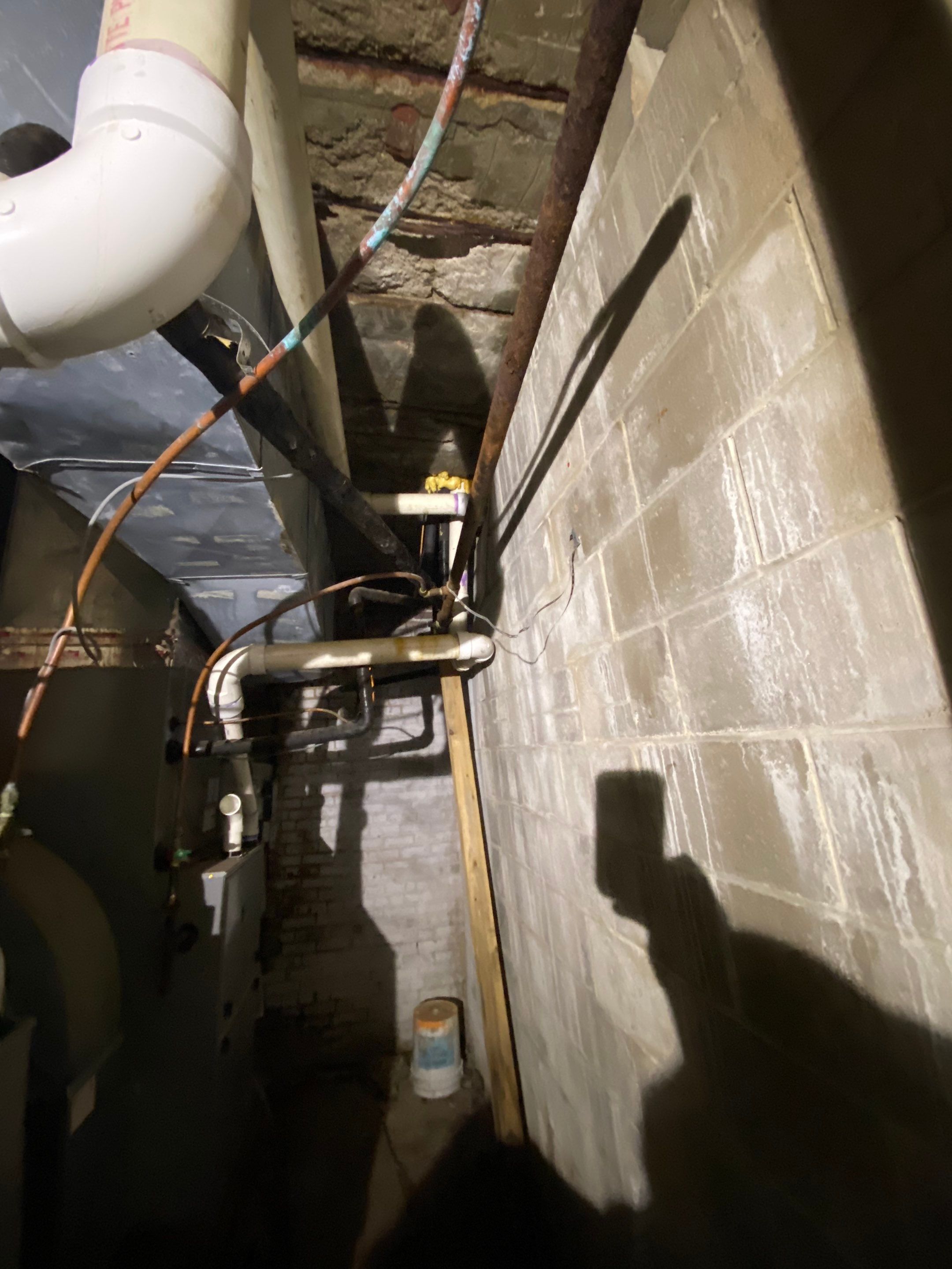 Underlying cause of efflorescence in Midwest homes