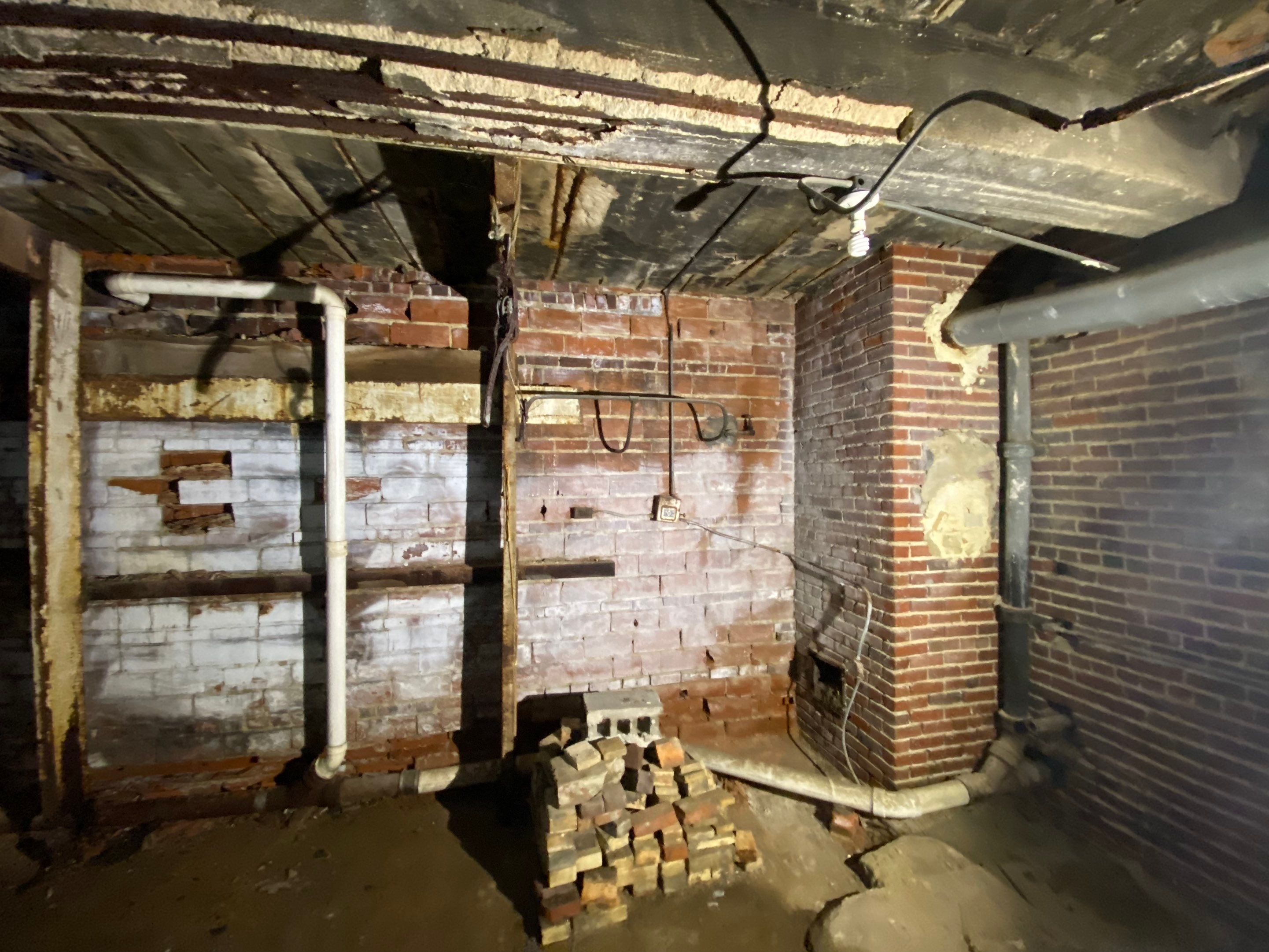 Mold Growth diagnosed by Epp Foundation Repair