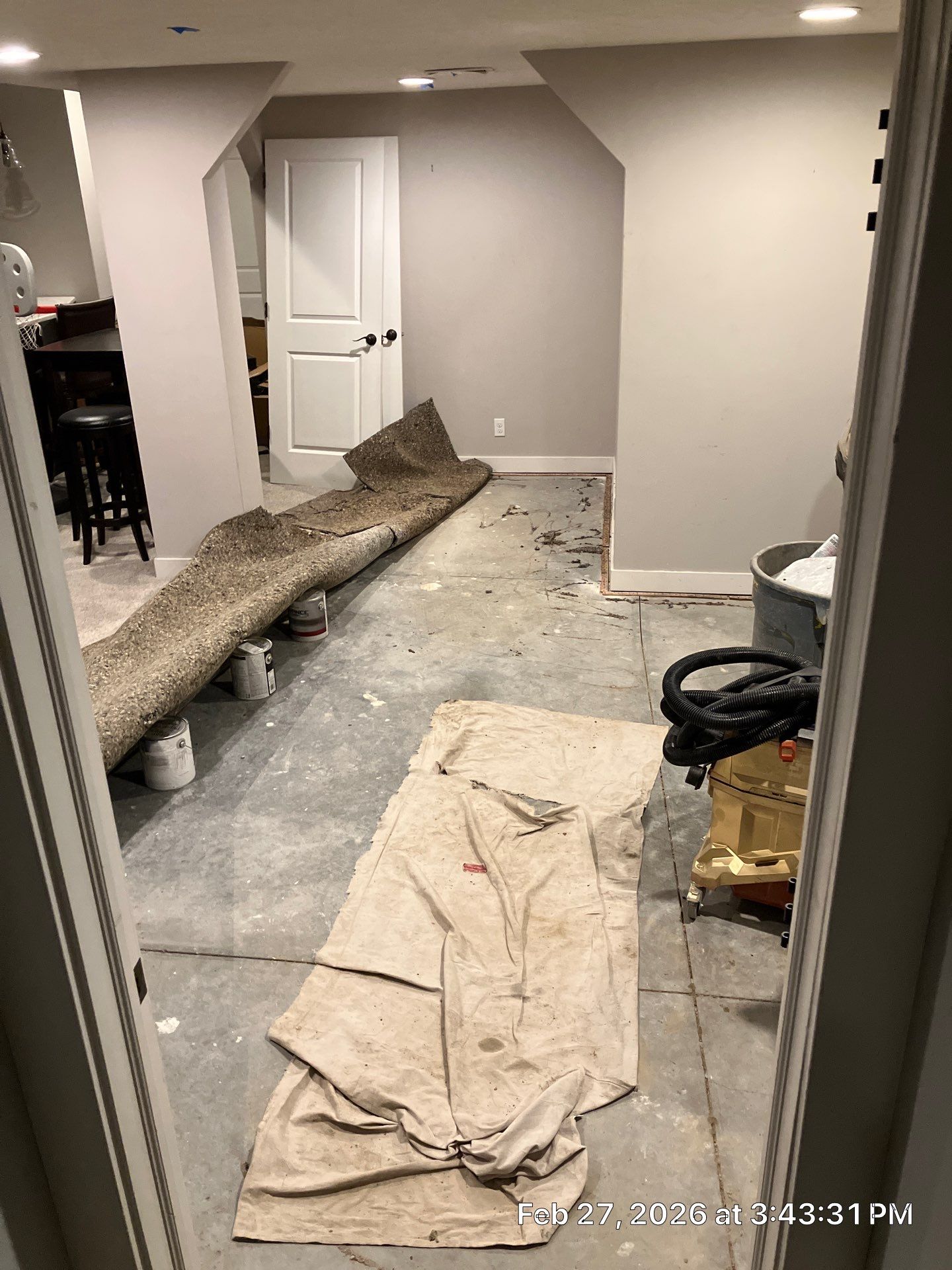 Musty odors in basement or crawl space.