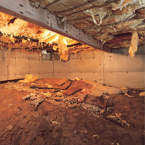 Underlying cause of musty odors in Midwest homes