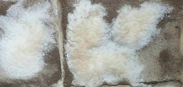 Efflorescence at an Epp Foundation Repair project