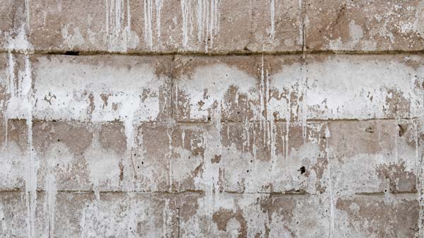 Early warning signs of efflorescence on a Midwest home