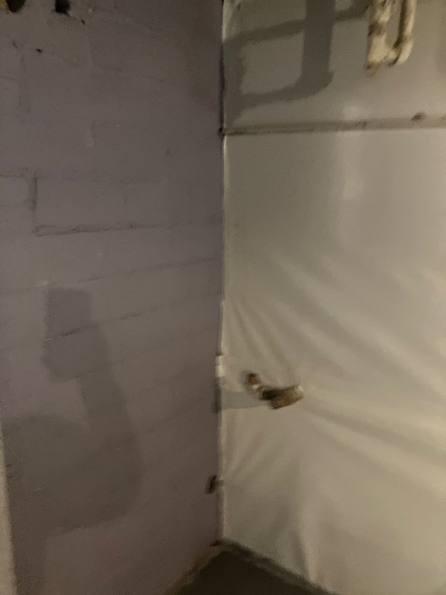 Epp Foundation Repair installing vapor barrier for moisture control in a crawl space in Des Moines, IA.