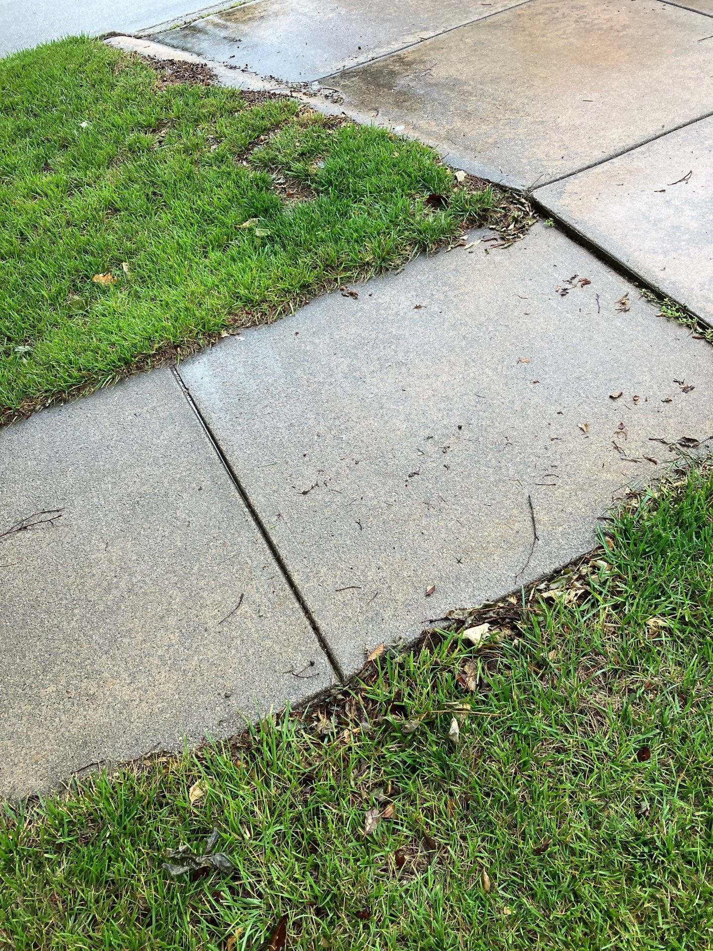 Epp Foundation Repair inspecting an uneven concrete sidewalk with a dangerous trip hazard in Lincoln, Nebraska.