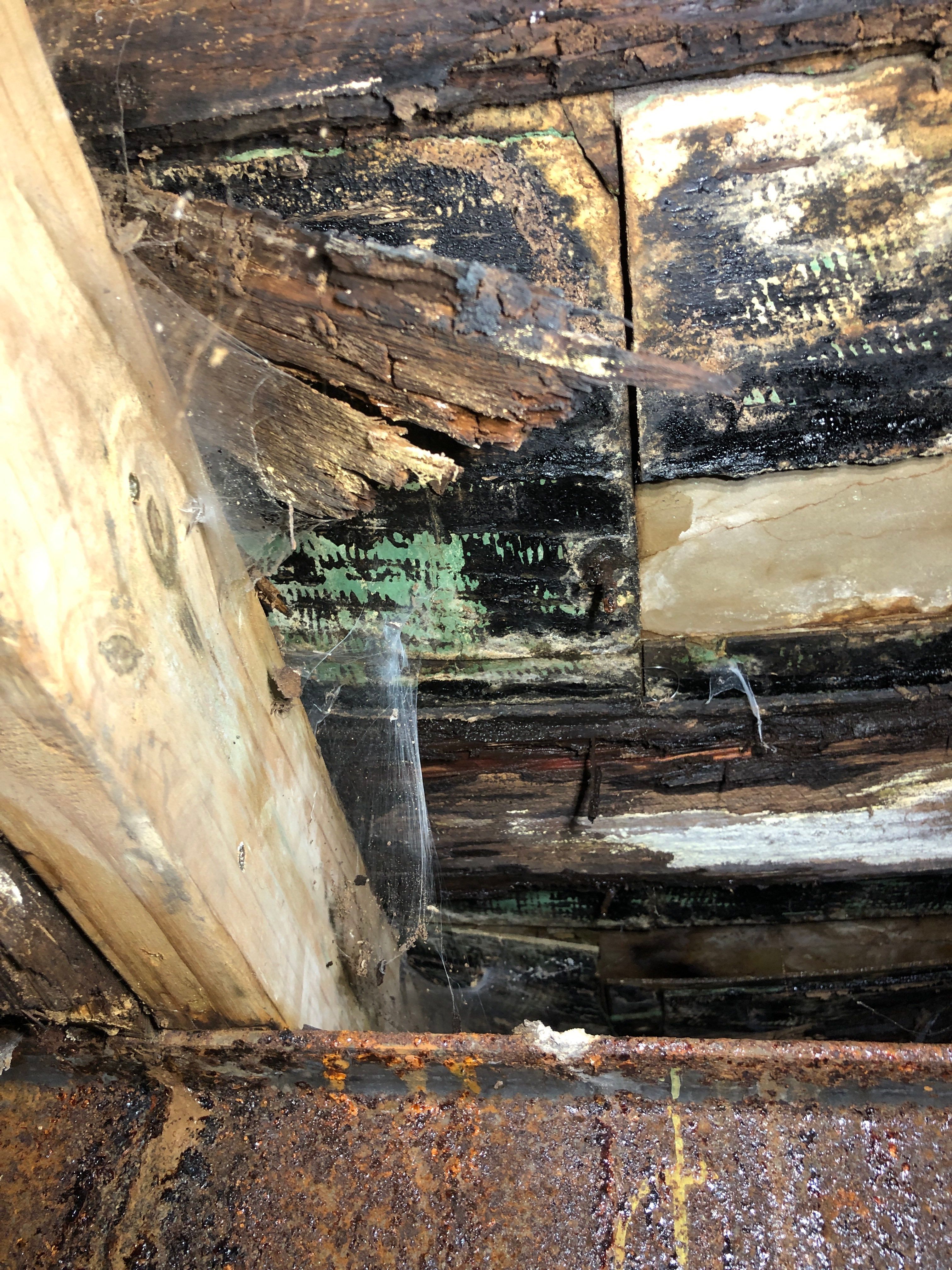 Early warning signs of high indoor humidity on a Midwest home