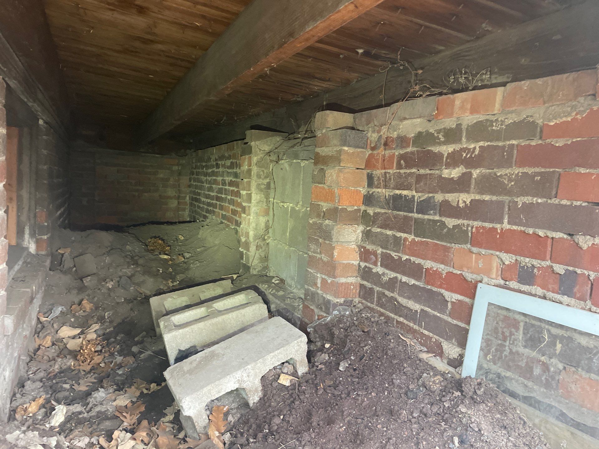 Early warning signs of crawl space mold on a Midwest home