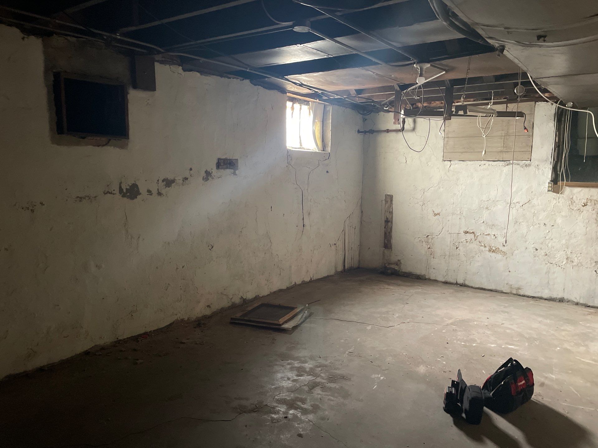 Crawl Space Mold